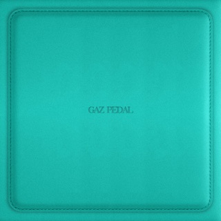 GAZ PEDAL