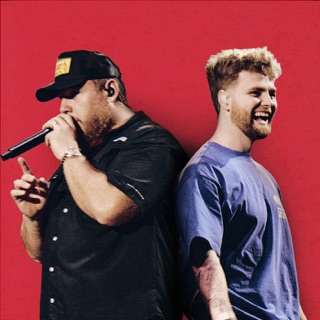 Ordinary (Live from Lollapalooza)