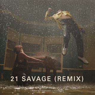 Show Me Love (Remix) [feat. 21 Savage & Miguel]