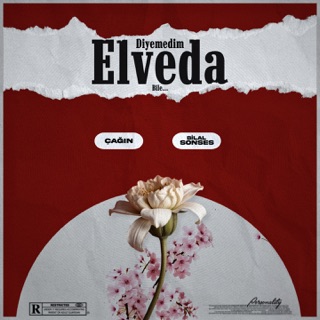 Diyemedim Elveda