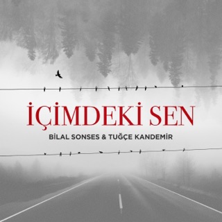 Tuğçe Kandemir