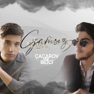 Gamsız