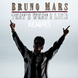 That’s What I Like (Alan Walker Remix)