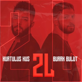 2L