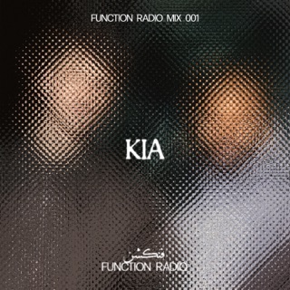 CRAZY (WILHEMINA Remix) [Mixed]