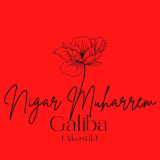 Galiba (Akustik)
