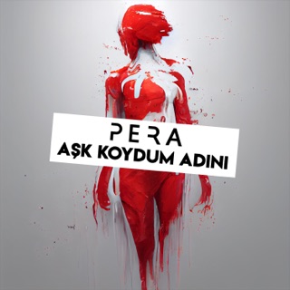 Aşk Koydum Adını