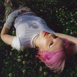 LLYLM (Mixed)