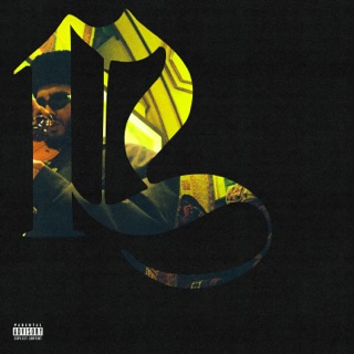 1L