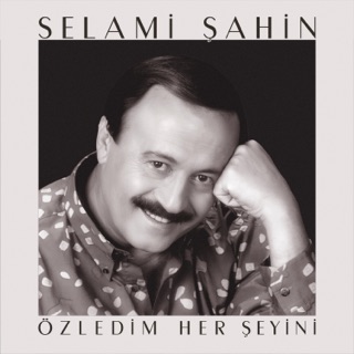 Seni Sevmediğim Yalan