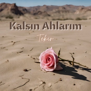 Kalsın Ahlarım
