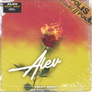 Alev