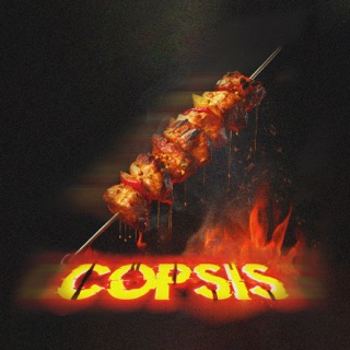 ÇÖP ŞİŞ